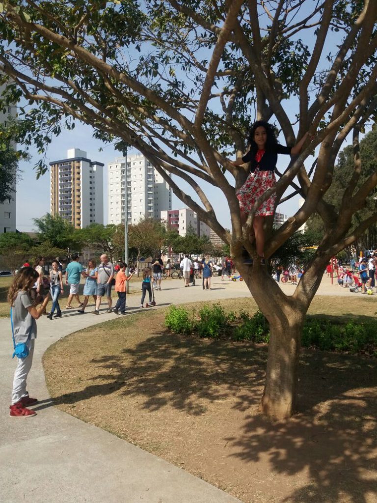 Pokemon Go - Pais em Apuros!