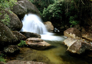 Especial Férias de Verão 2017 - Pais em Apuros